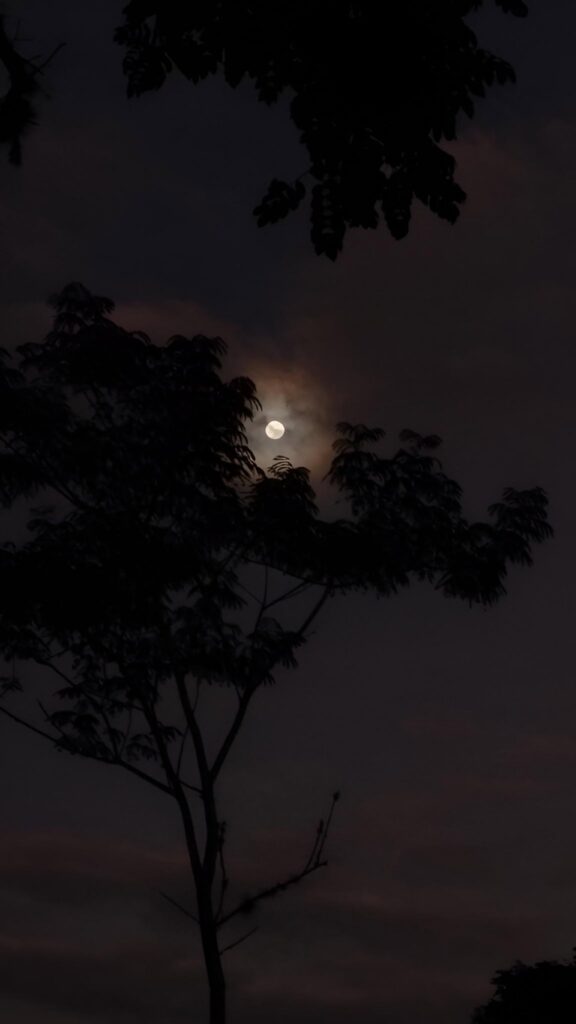 Irony of the night! moon